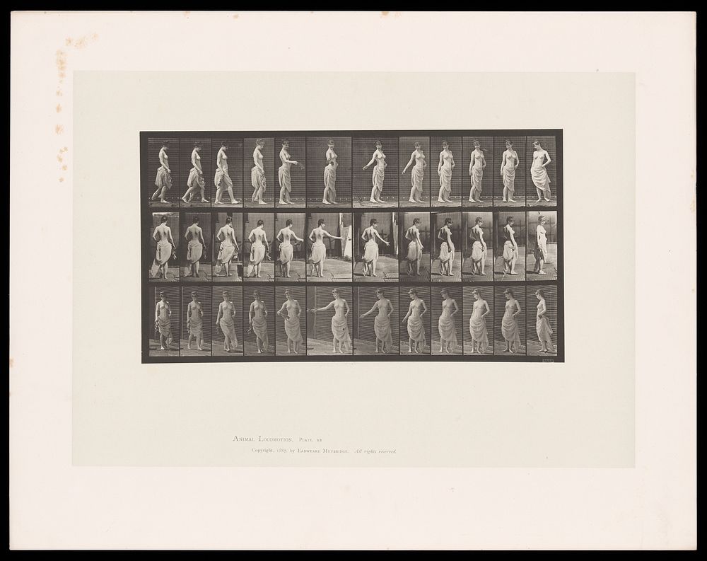 A woman throwing a bouquet of flowers. Collotype after Eadweard Muybridge, 1887.