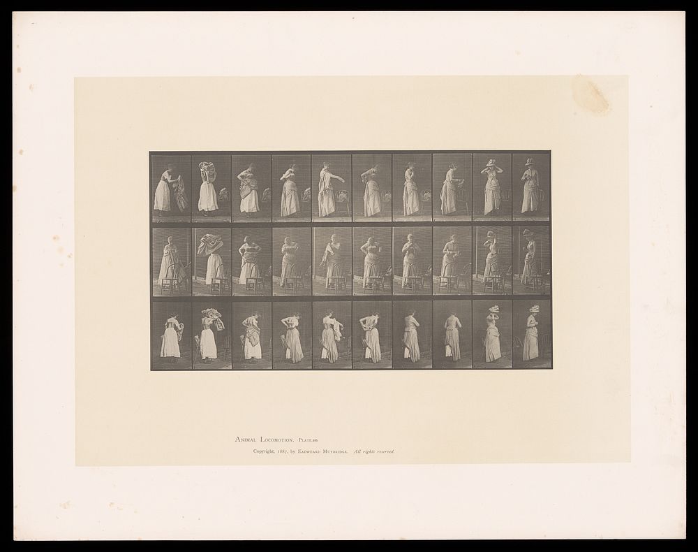 A clothed woman puts on clothing over her undergarments. Collotype after Eadweard Muybridge, 1887.