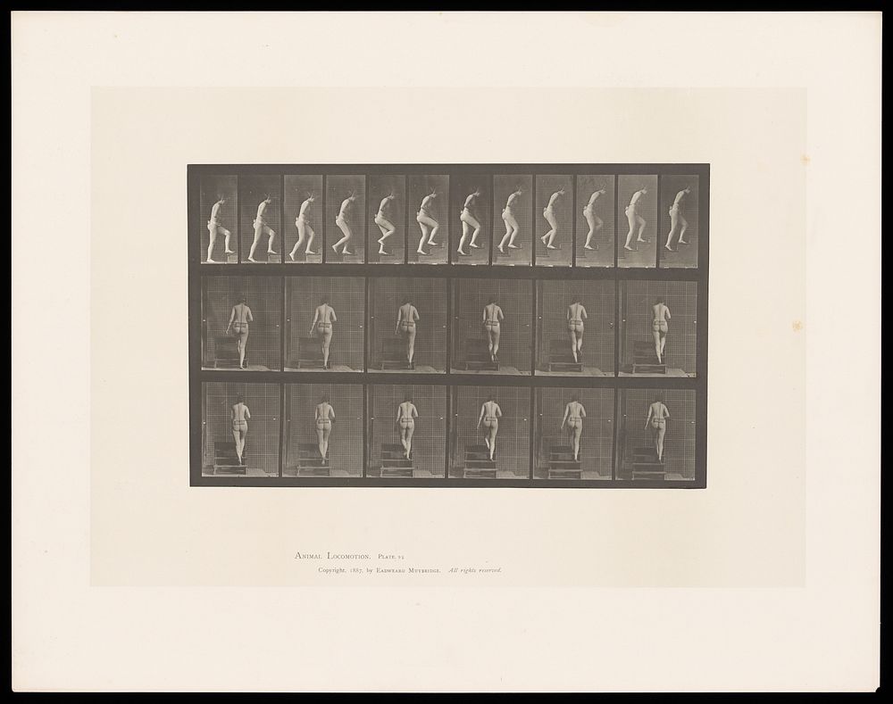 A naked woman walking up steps. Collotype after Eadweard Muybridge, 1887.