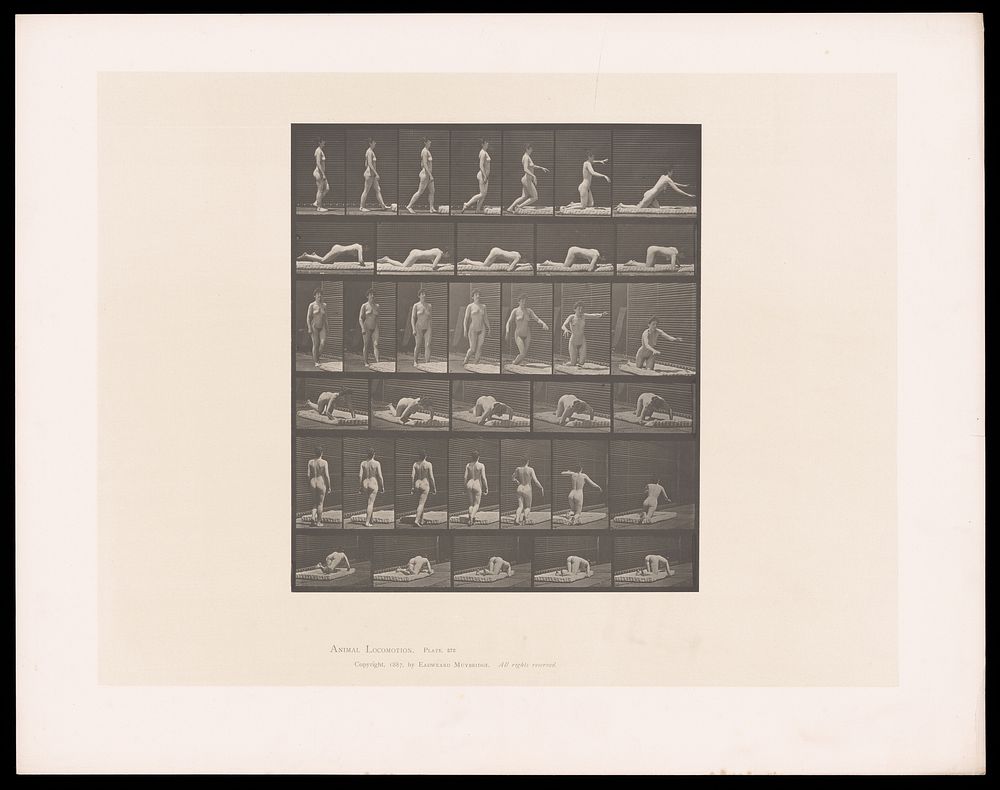 A woman tripping over a bed. Collotype after Eadweard Muybridge, 1887.