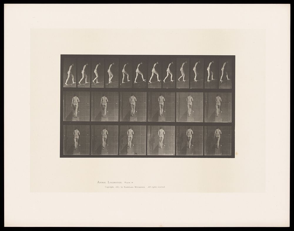 A naked woman walking up a slope. Collotype after Eadweard Muybridge, 1887.