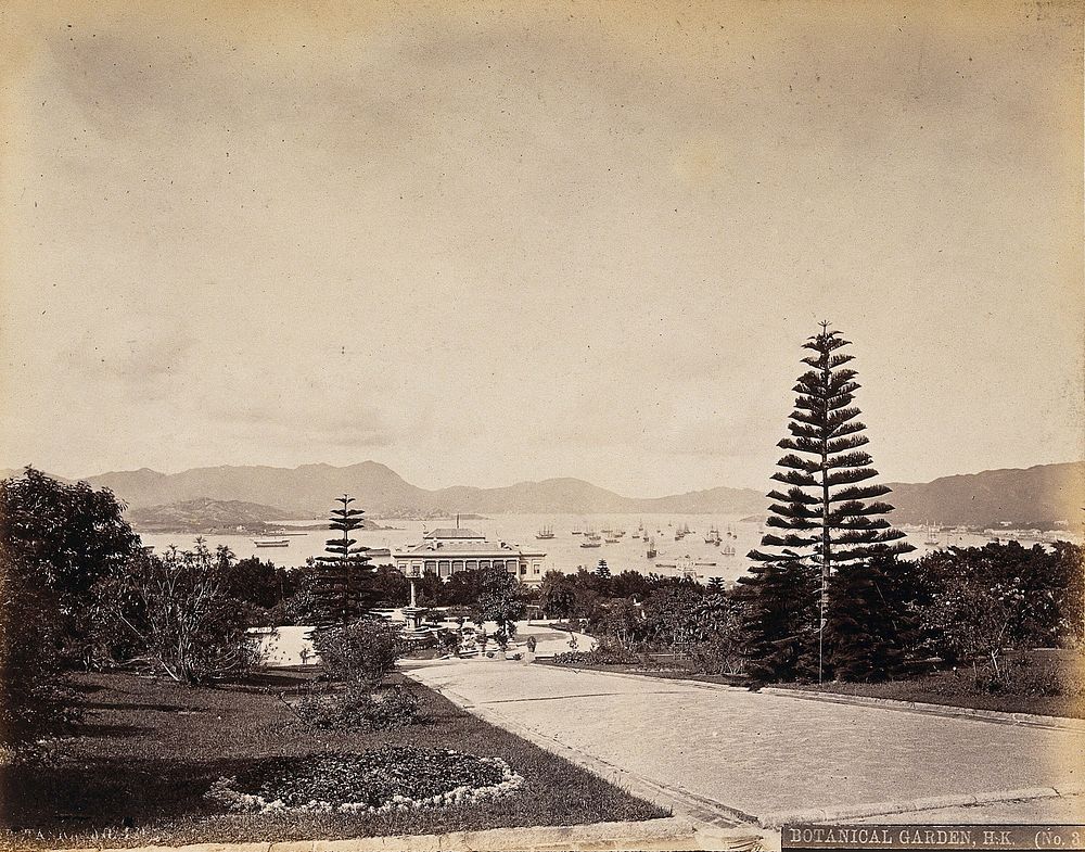 Hong Kong: Botanical Gardens, looking north to the harbour. Photograph by W.P. Floyd, ca. 1873.