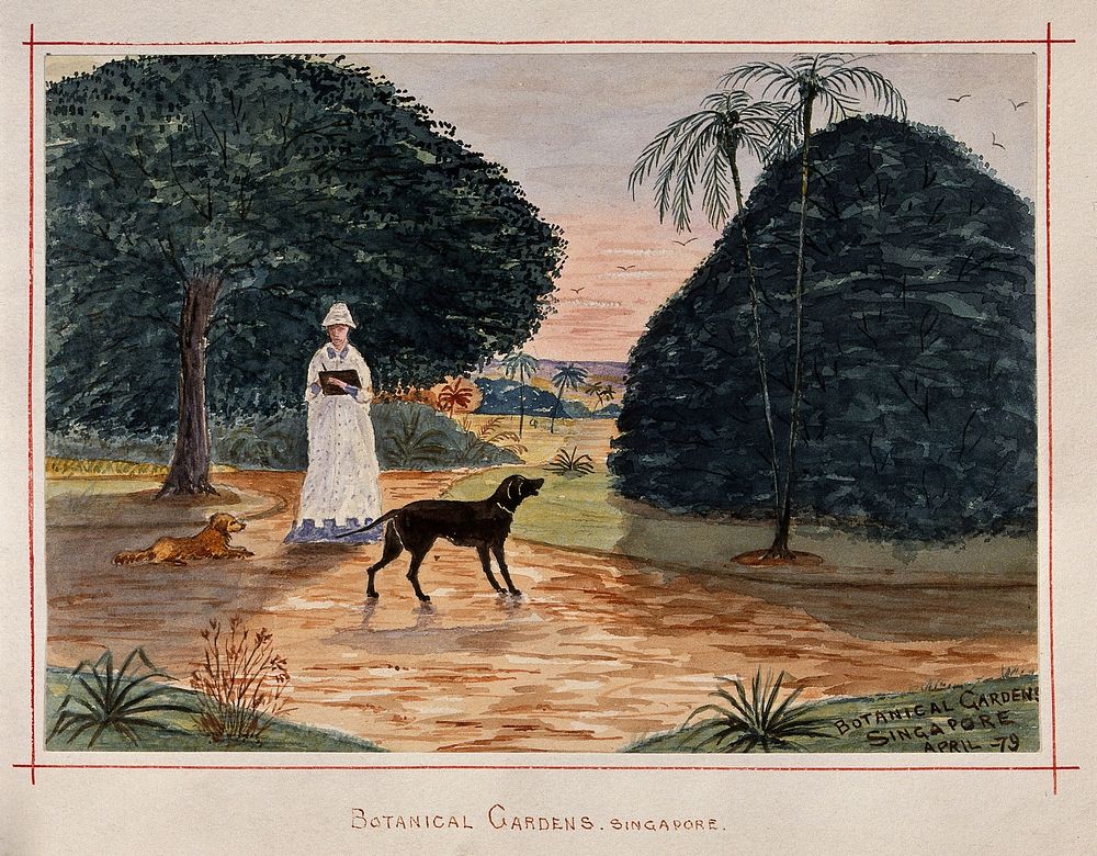 Singapore: a person with dogs in the Botanical Gardens. Watercolour by J. Taylor, 1879.