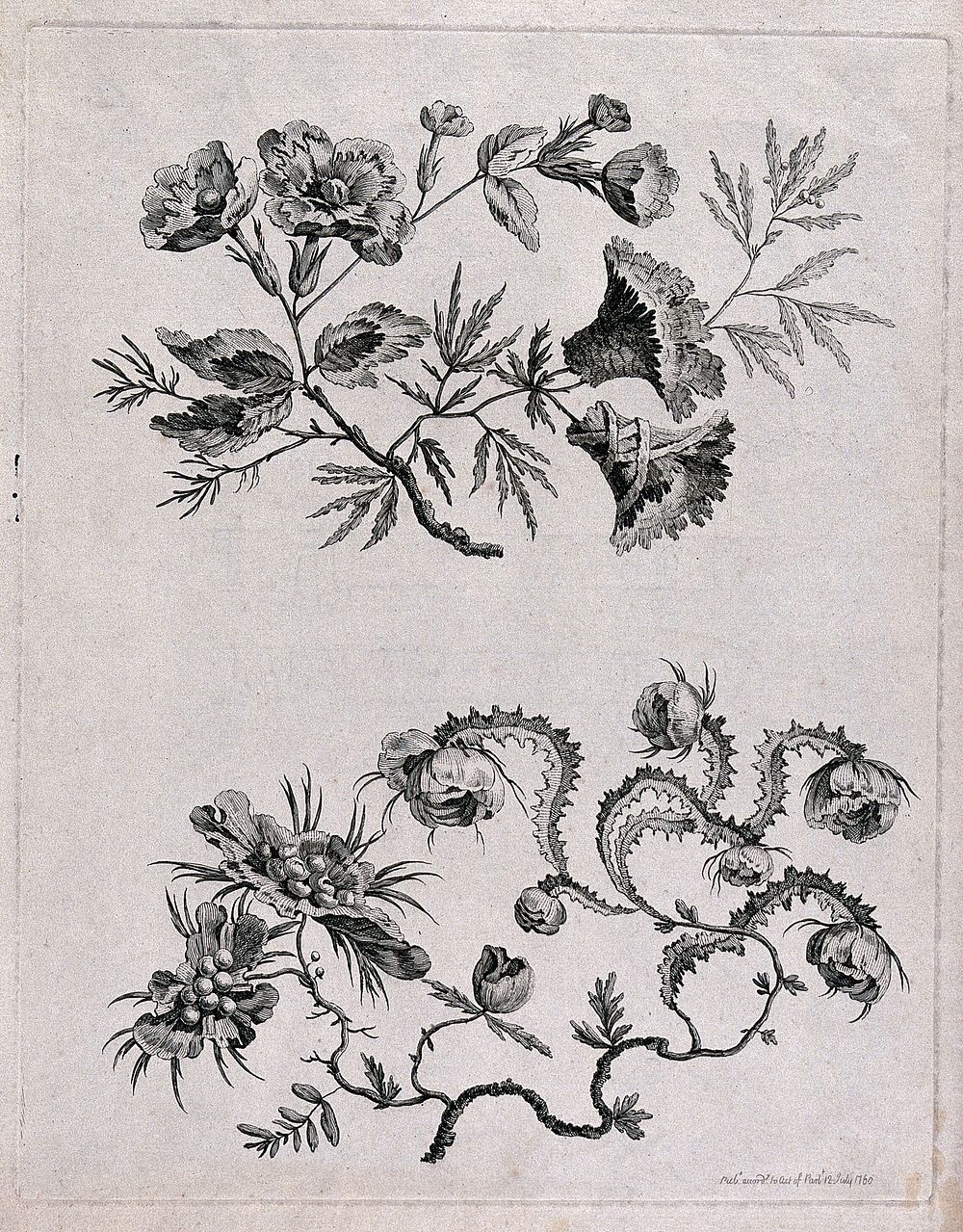 Two floral designs, perhaps for woven silk fabric. Etching, c. 1760, after J. Pillement.