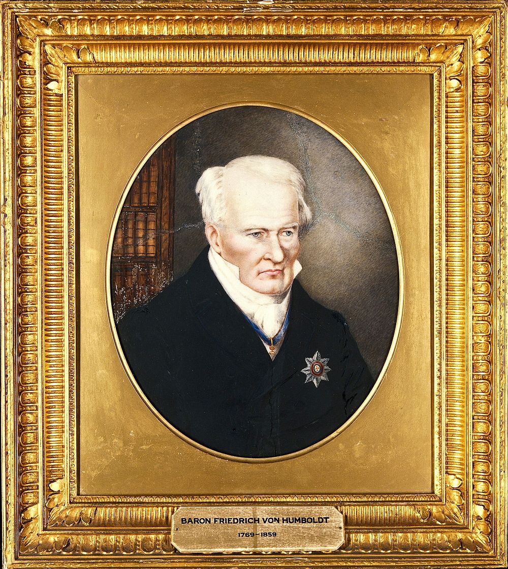 Friedrich Heinrich Alexander von Humboldt (1769-1859). Oil painting after Samuel Friedländer.