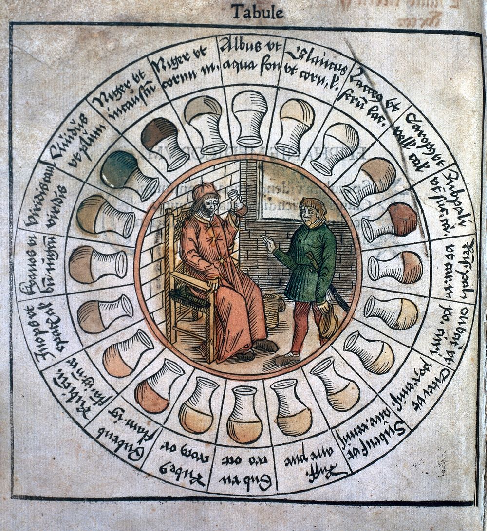 U. Binder, Epiphaniae medicorum, 1506.