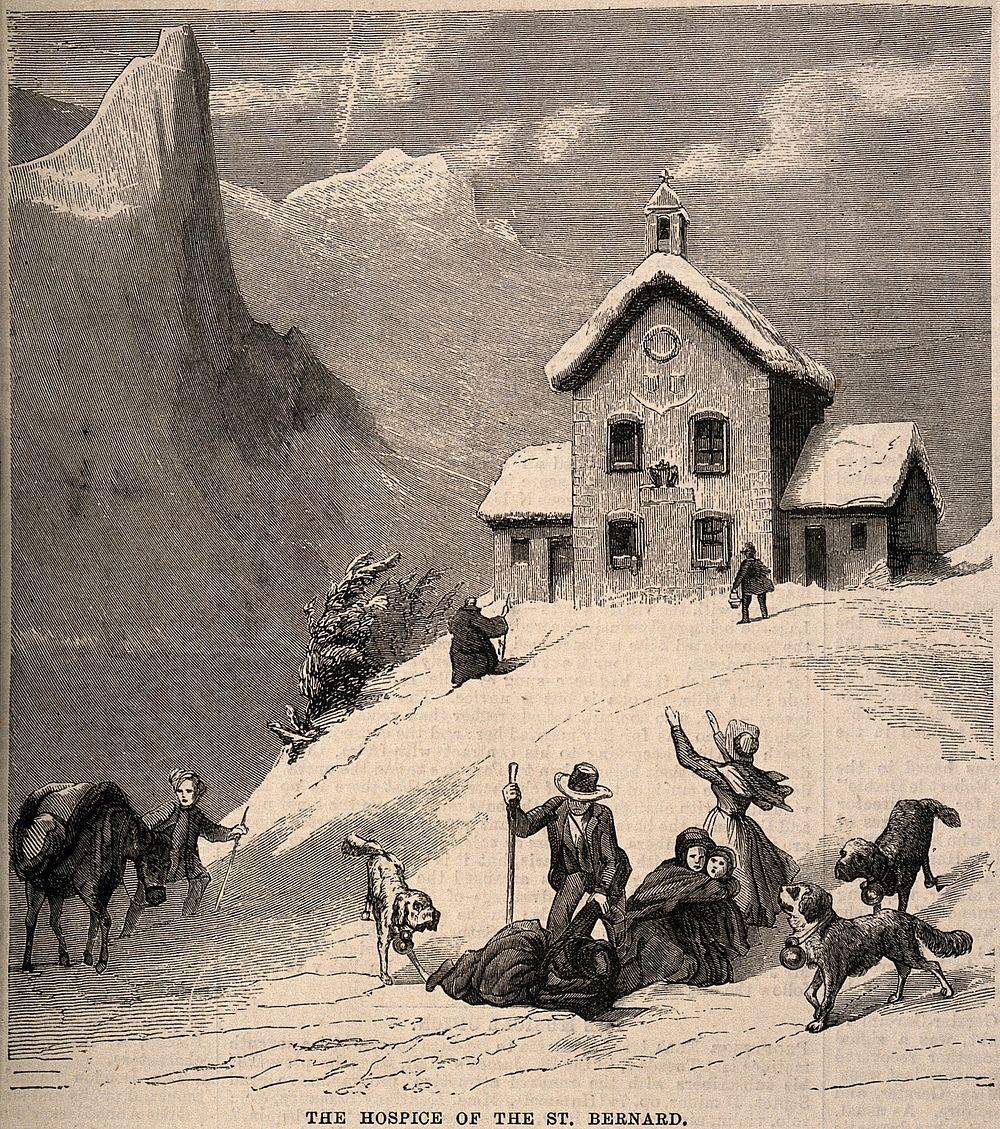 Convent of Great St. Bernard, Switzerland/Italy: rescue dogs gathering outside around wounded travellers. Wood engraving.