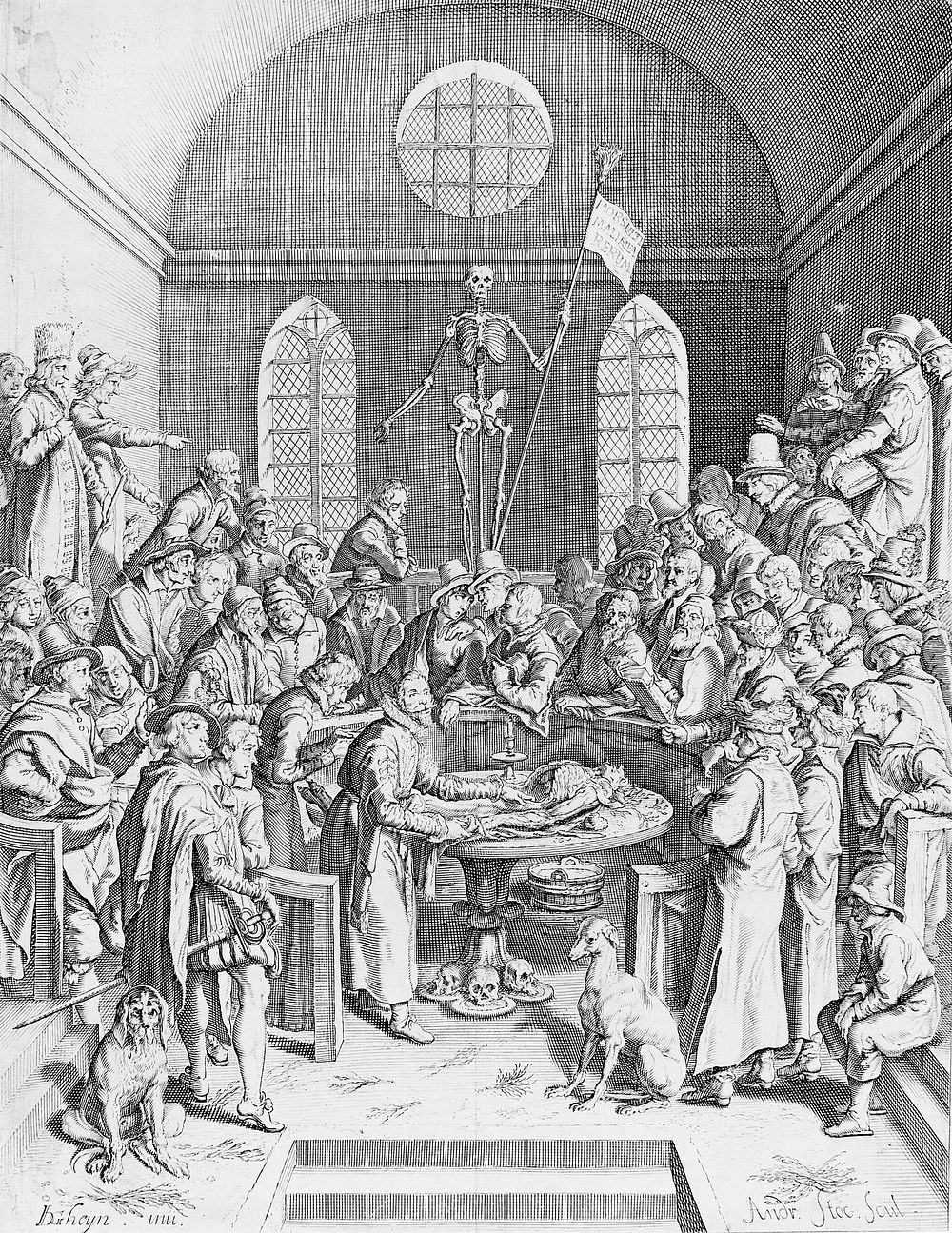 An anatomical dissection by Pieter Pauw in the Leiden anatomy theatre. Engraving by Andries Stock after a drawing by Jacques…