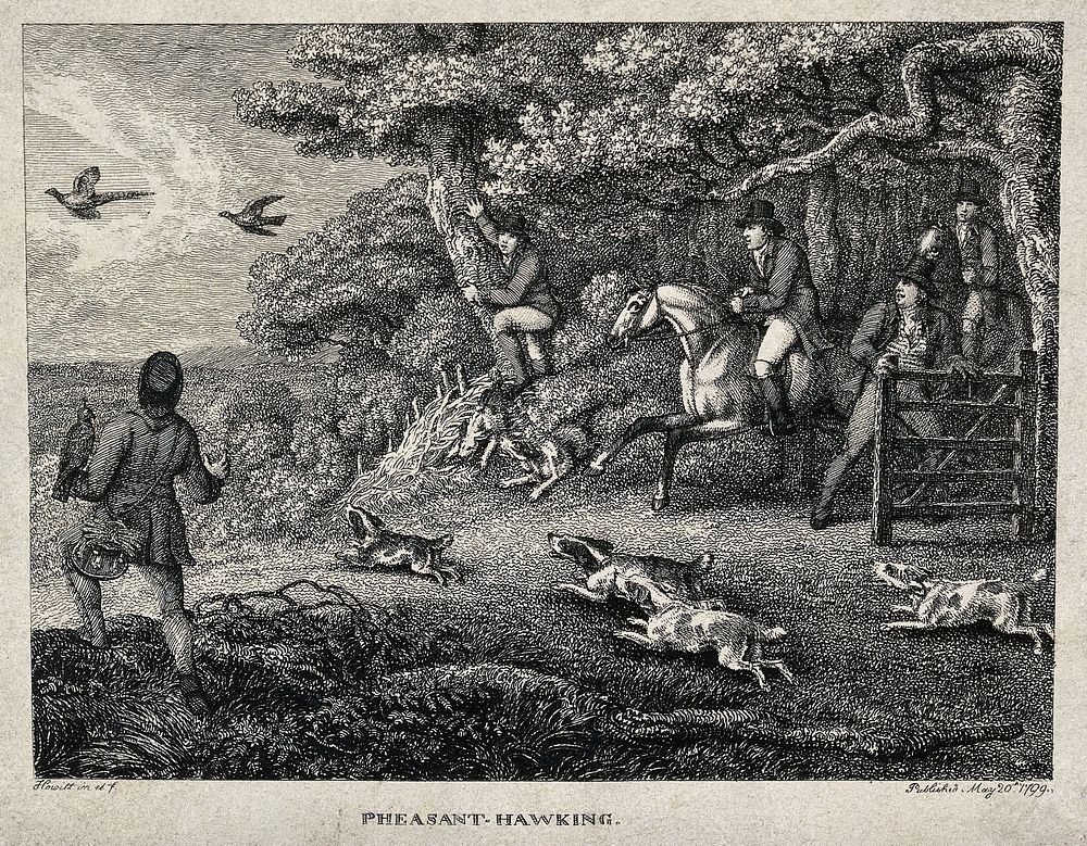 Huntsmen opening gates to release dogs to chase after fowl. Etching by W. S. Howitt.