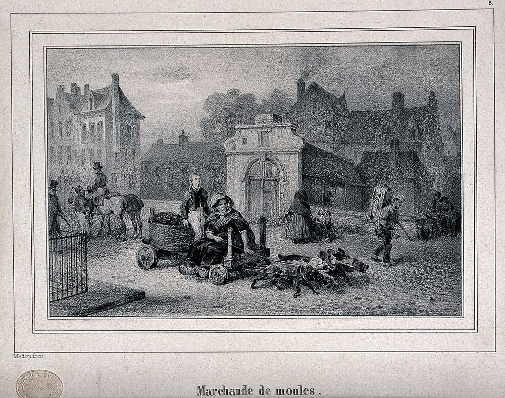 A woman is sitting on a cart which is being pulled by dogs, a boy is sitting on the basket of mussels on the back shouting…