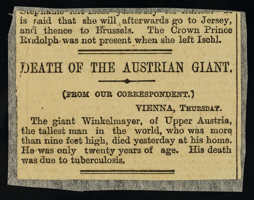 [Newspaper cutting about the "Death of the Austrian giant" "Winkelmayer" (Franz Winkelmeier) in Vienna from tuberculosis].
