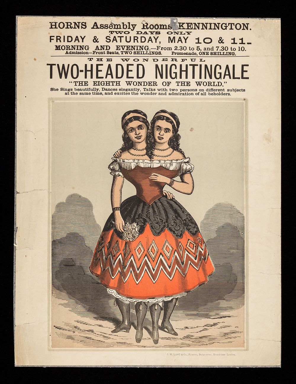 The wonderful two-headed nightingale : "the eighth wonder of the world" / Horns Assembly Rooms, Kennington.