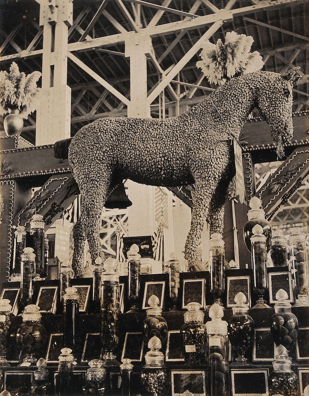 The 1904 World's Fair, St. Louis, Missouri: a horse constructed from Sacramento hops; part of a California agricultural…