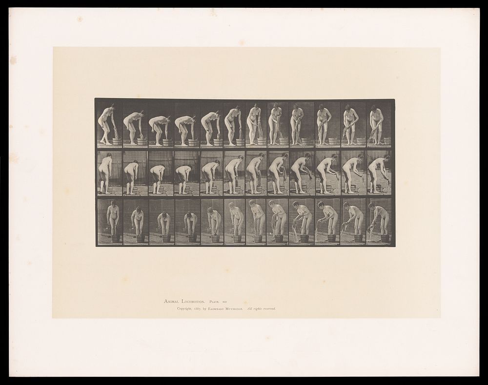 A woman ringing out a piece of cloth. Collotype after Eadweard Muybridge, 1887.