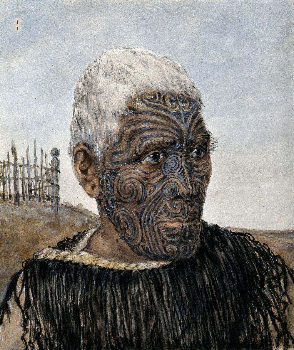 Te Manawa: an Arawa warrior. Watercolour by H.G. Robley.