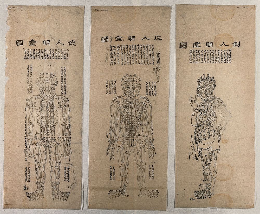 Frontal view of the human body showing a circulatory system. Woodcut by Chinese artist.