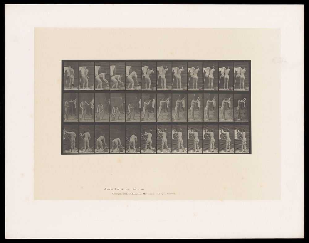 A naked woman hangs washing on a line. Collotype after Eadweard Muybridge, 1887.