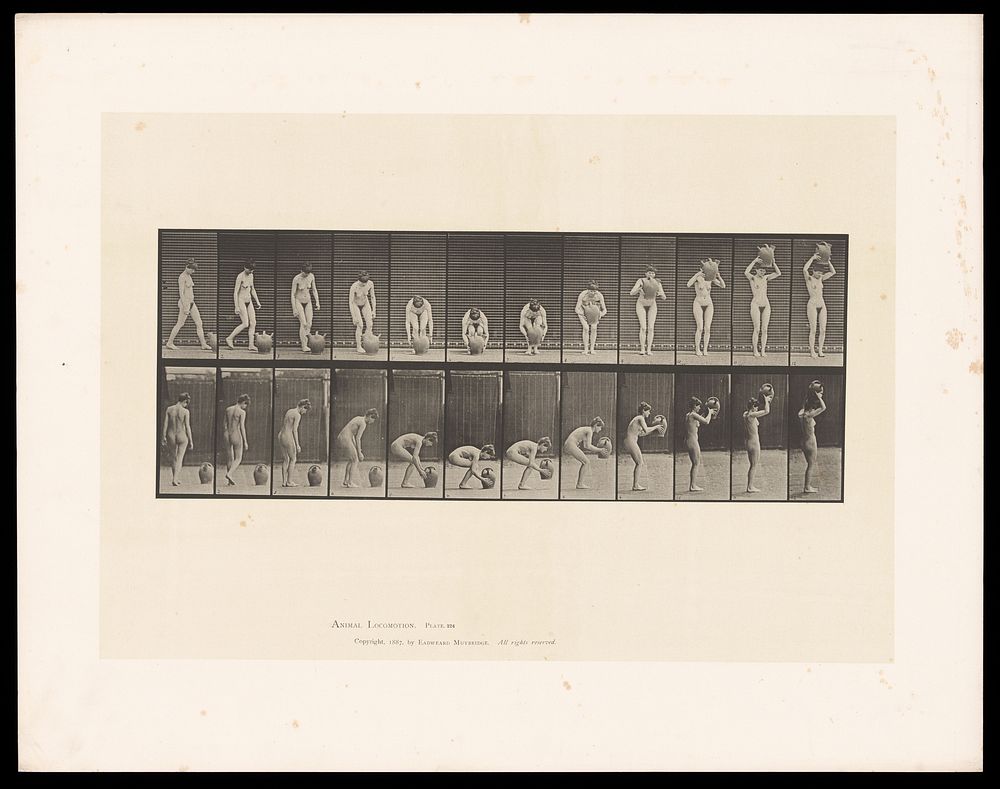 A naked woman walking to a water pitcher, picking it up and raising it above her head. Collotype after Eadweard Muybridge…