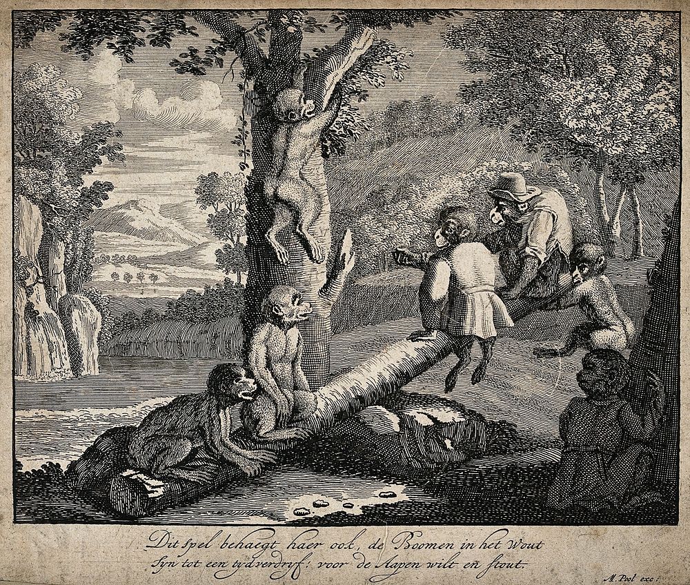 Apes, some in clothes, sitting below a forest tree and using a log as a see-saw. Etching.