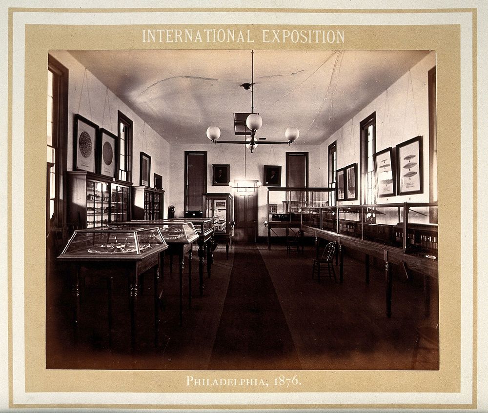 Philadelphia International Exposition, 1876: Hospital of the Medical Department of the U.S. Army: models of hospitals in…