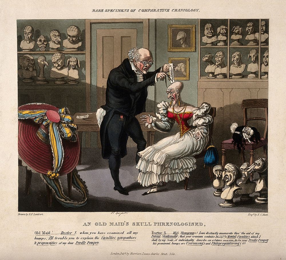 Franz Joseph Gall measuring the head of a bald, elegantly dressed old lady; her pet poodle is entwined in her wig on a…