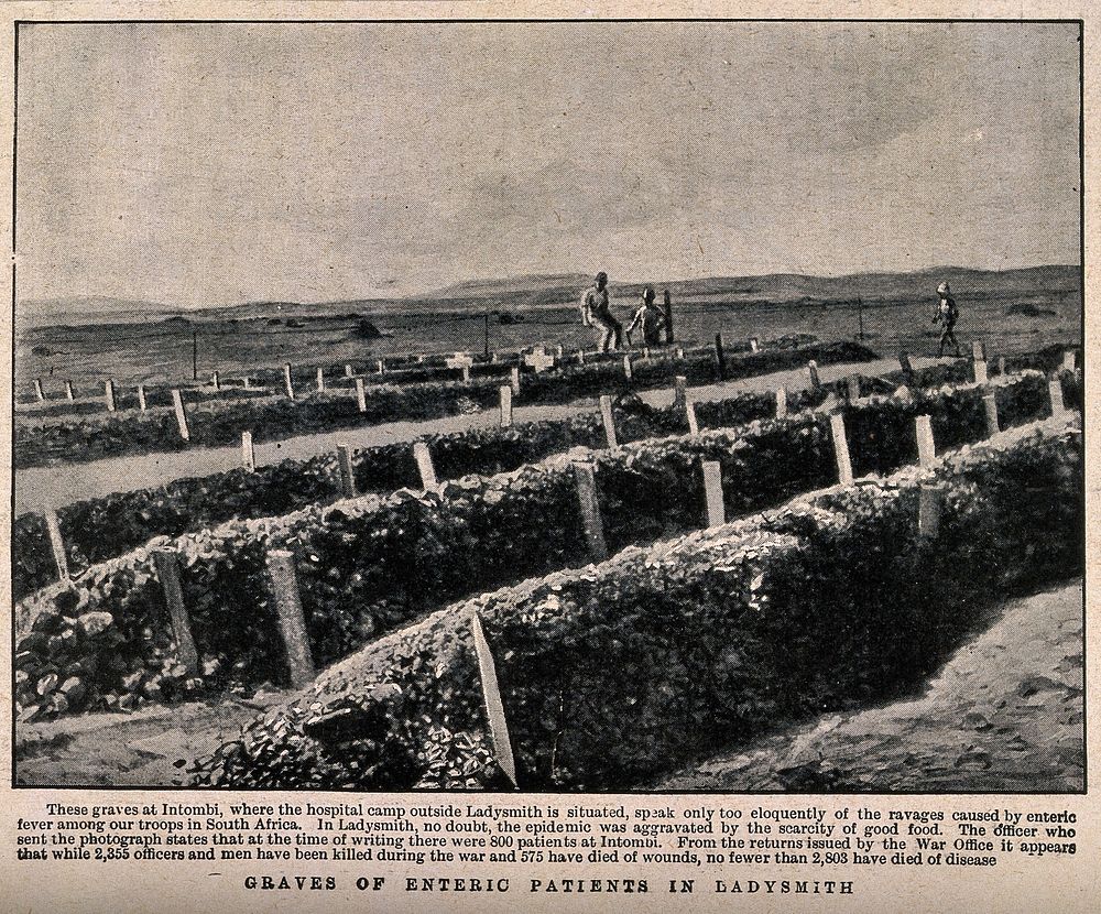 Boer War: rows of graves of enteric patients at Intombi, Ladysmith. Halftone, c. 1900, after a photograph.