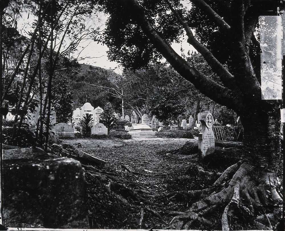 Cemetery, Happy Valley, Hong Kong. Photograph, 1981, from a negative by John Thomson, 1868/1871.