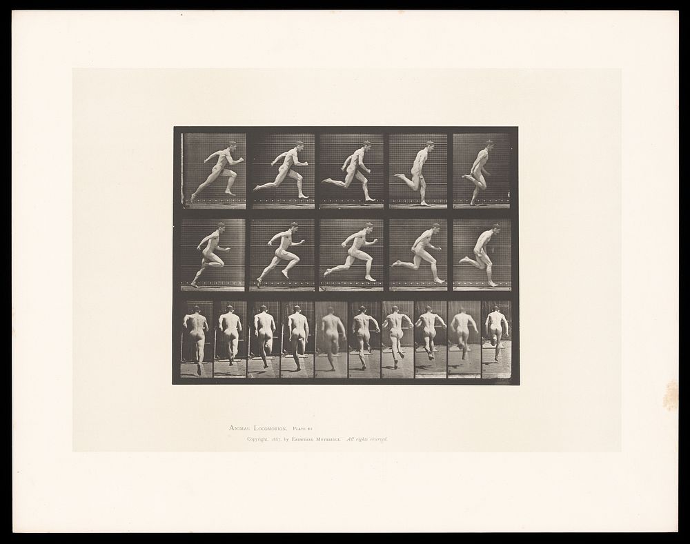 A man sprinting. Collotype after Eadweard Muybridge, 1887.