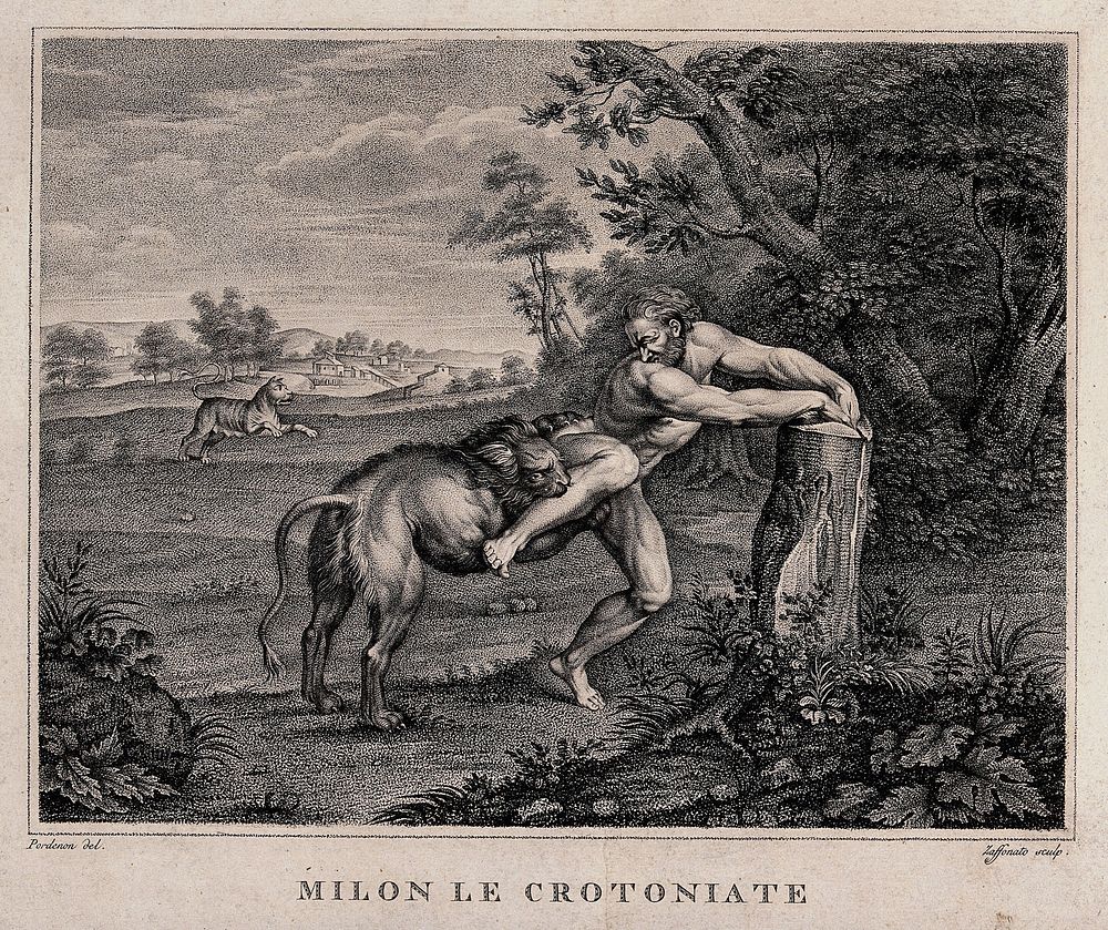 Milo of Croton. Stipple engraving by A. Zaffonato after G.A. Pordenone.