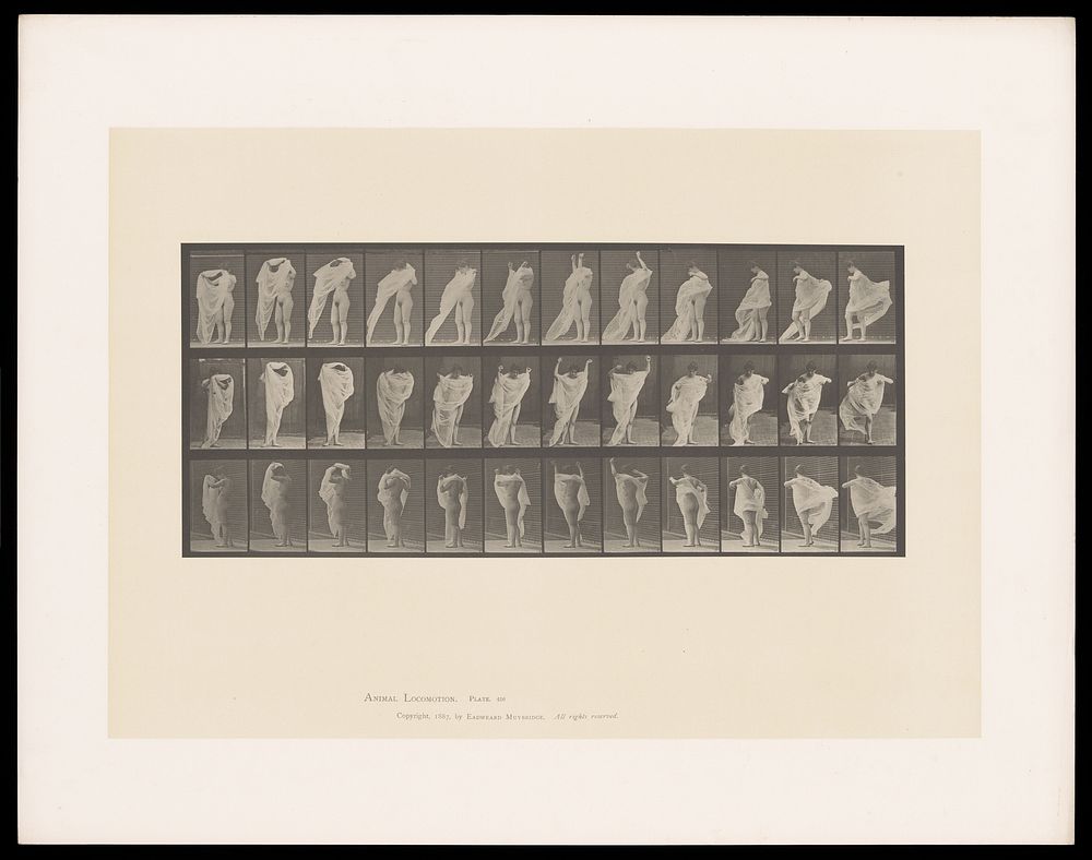 A naked woman puts on an undergarment. Collotype after Eadweard Muybridge, 1887.