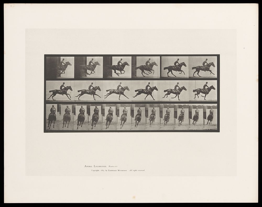 A clothed man riding a saddled horse. Collotype after Eadweard Muybridge, 1887.