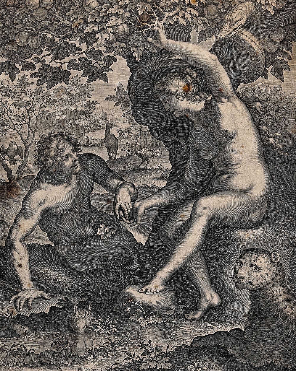 In the Garden of Eden, Eve offers Adam the apple. Line engraving by C. Galle after G.B. Paggi.