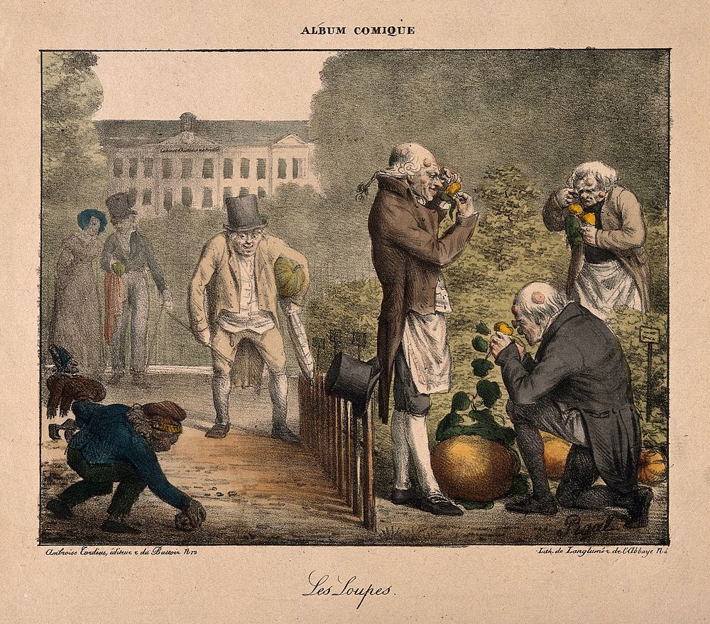 In a garden, men with wens look through magnifying glasses at round flowers. Coloured lithograph by Langlumé after E.J.…