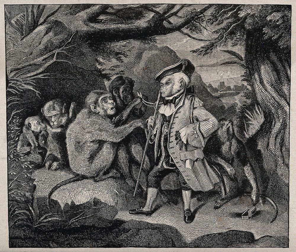 A monkey in elegant costume is addressing a group of wild monkeys under a tree. Engraving after E. H. Landseer.