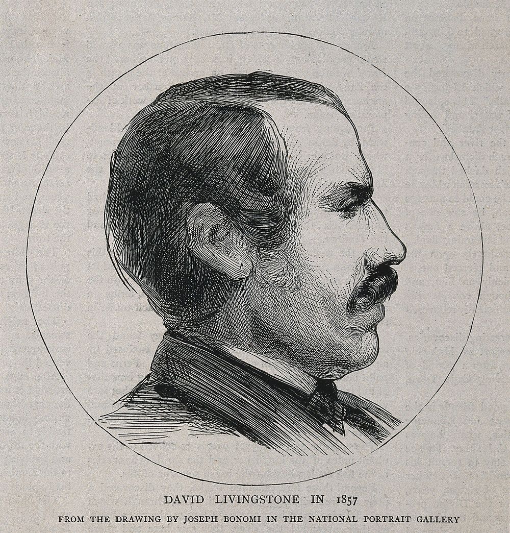 David Livingstone. Wood engraving after J. Bonomi, junior, 1857.