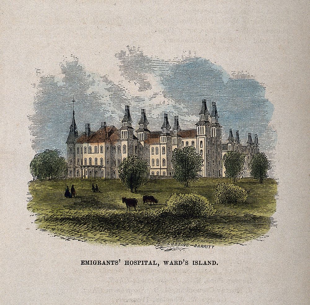 Emigrants' Hospital, Ward's Island. Coloured wood engraving by Lossing-Barritt.