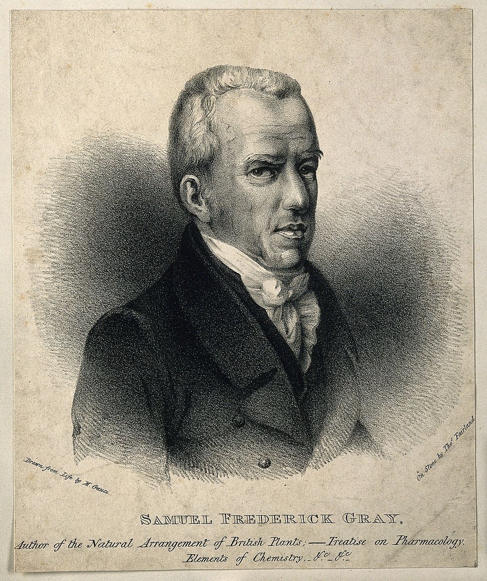 Samuel Frederick Gray. Lithograph by T. Fairland after M. Gauci.