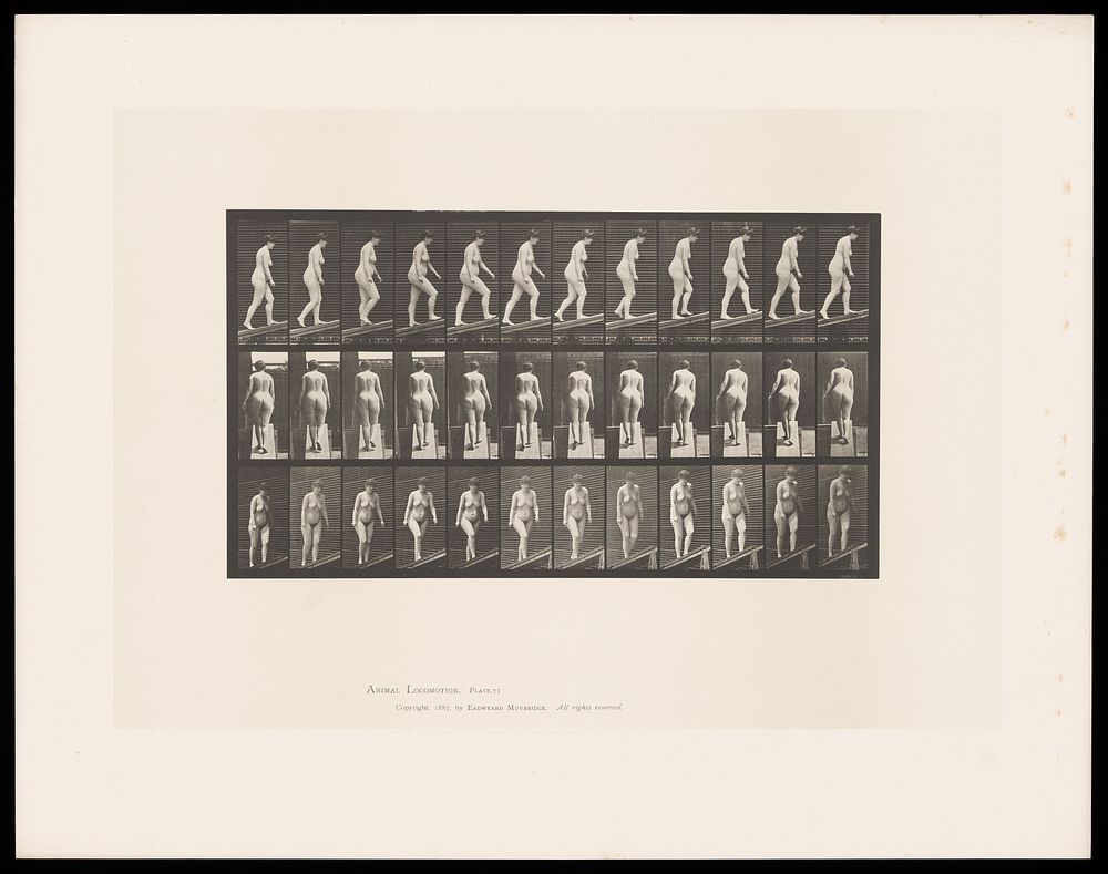 A naked woman walking up a slope. Collotype after Eadweard Muybridge, 1887.
