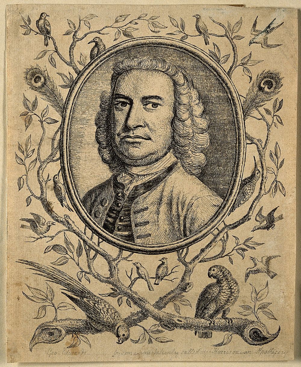 George Edwards. Etching, 1741.