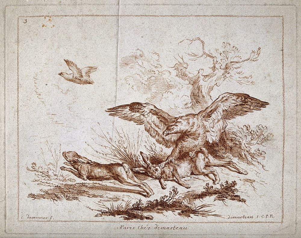 An eagle catching one hare while another escapes. Colour etching by G. Demarteau, ca. 1760, after C. Dagomer.