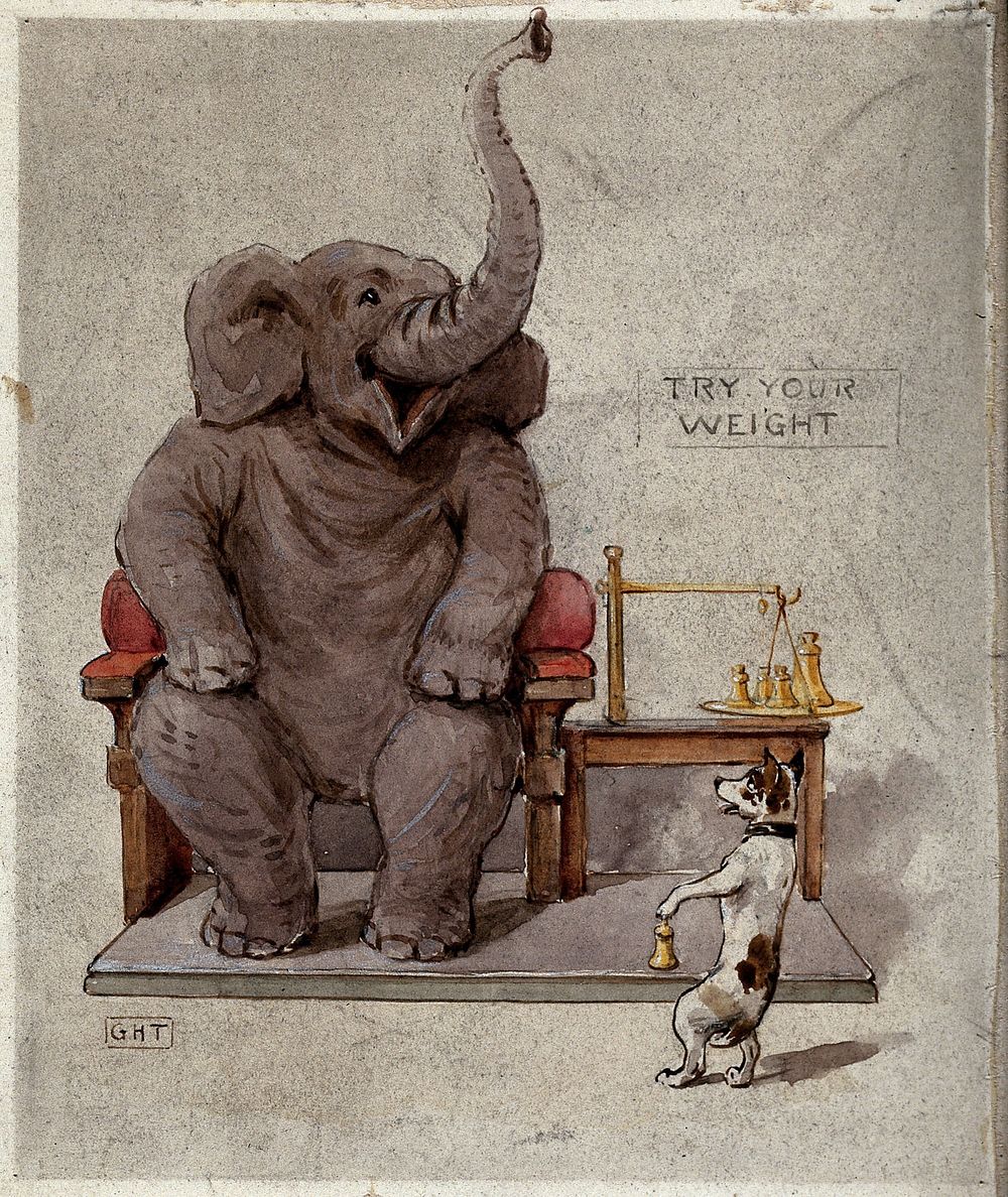 An elephant seated in an armchair is being weighed by a small dog. Watercolour by G. Hope Tait, ca. 1900.