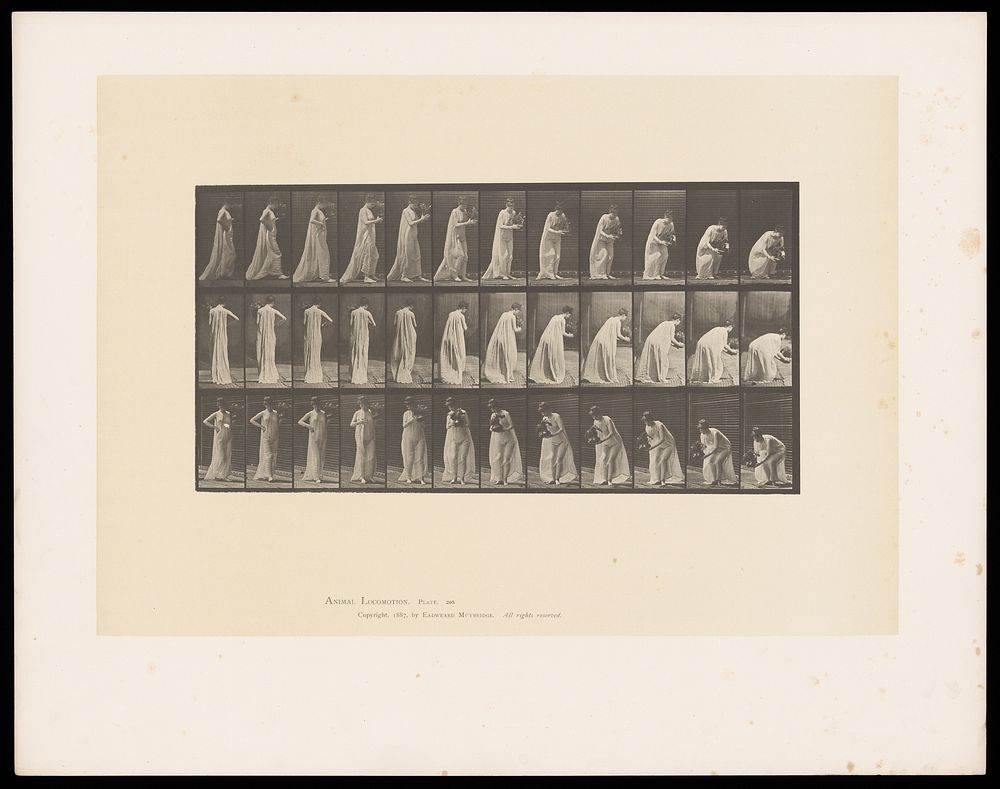 A clothed woman stooping to lower a vase of flowers towards the floor. Collotype after Eadweard Muybridge, 1887.