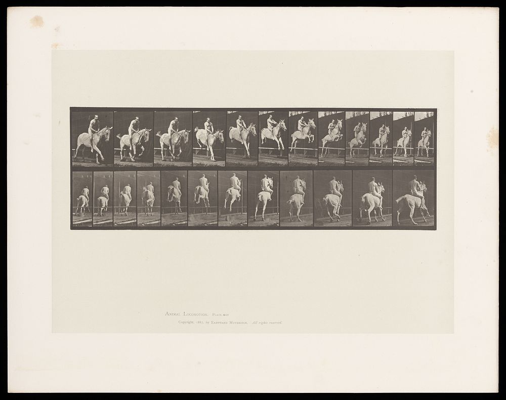A naked man riding a horse bareback jumps a hurdle. Collotype after Eadweard Muybridge, 1887.
