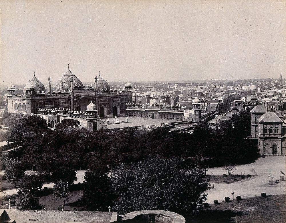 Agra, India: elevated view of the city. Photograph, ca. 1900.