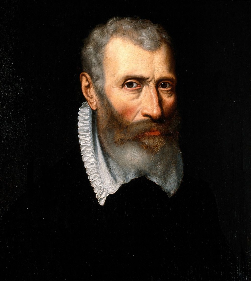 Antonius Busennius, professor of medicine at Louvain 1548-1550, city physician of Antwerp, medical humanist. Oil painting…