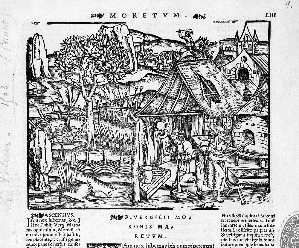An apothecary grinding a mixture with his pestle and mortar, amidst a working town. Woodcut by Brant.