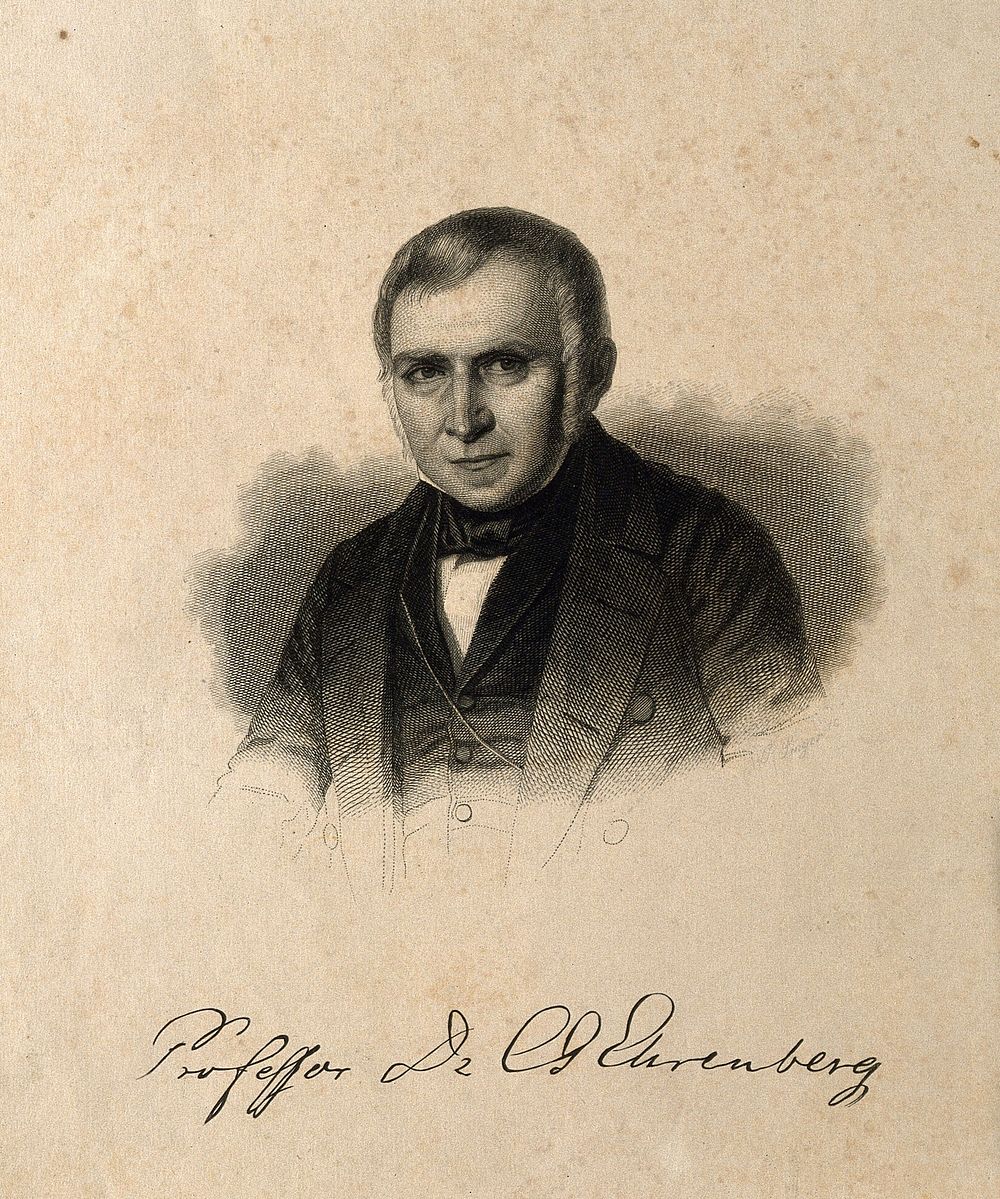 Christian Gottfied Ehrenberg. Line engraving by J.P. Singer.