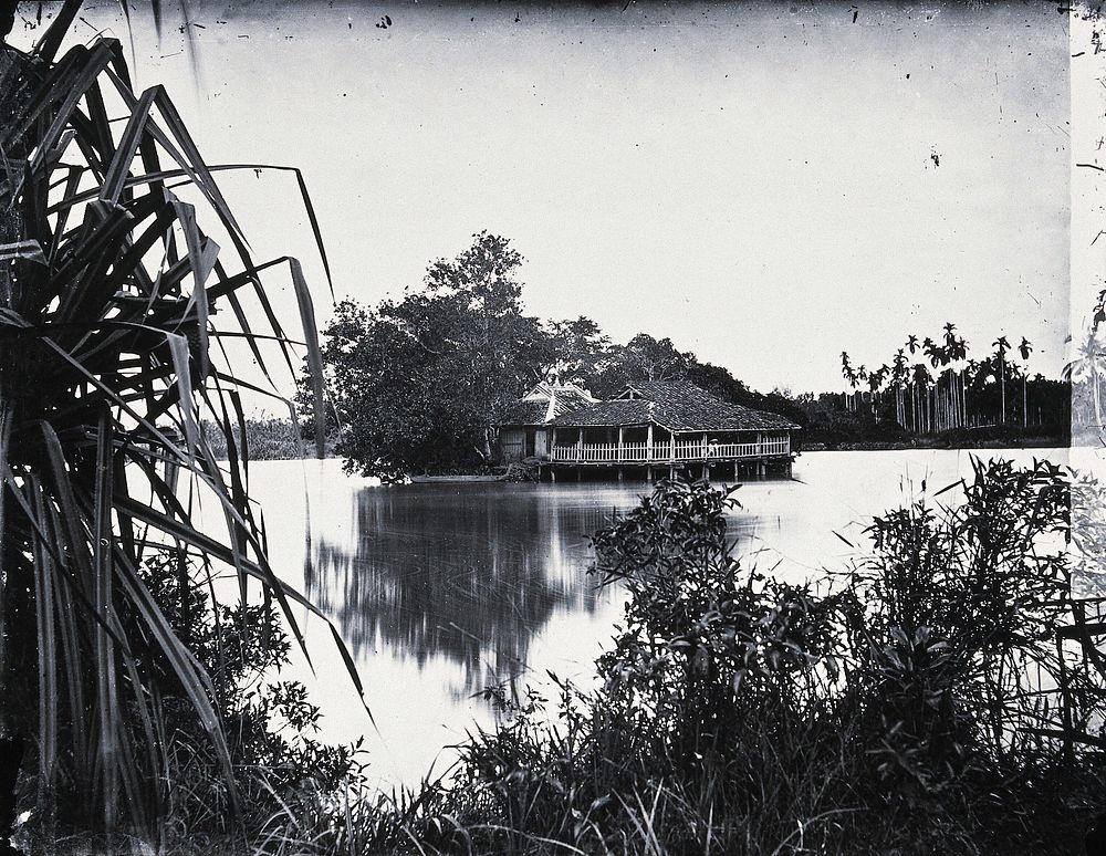 Annam, Cochin China [Vietnam]. Photograph, 1981, from a negative by John Thomson, 1867.