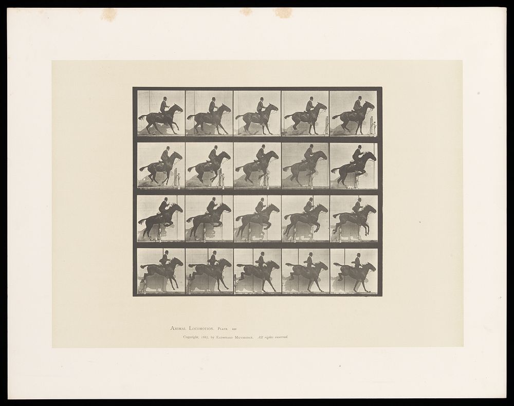 A clothed man riding a saddled horse jumps a hurdle. Collotype after Eadweard Muybridge, 1887.