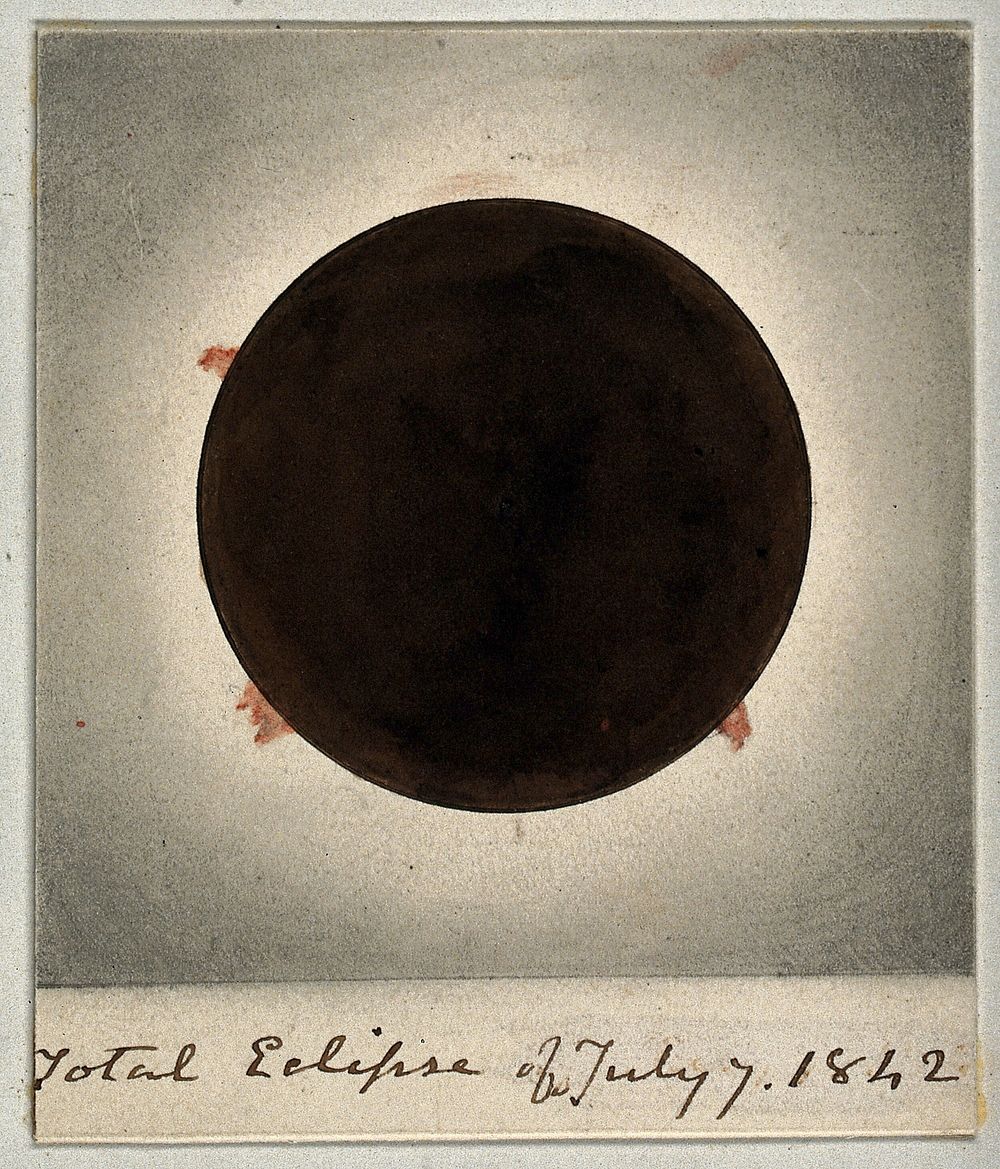 Astronomy: the corona of the sun, viewed during a total solar eclipse. Process print after a photograph, 1842.